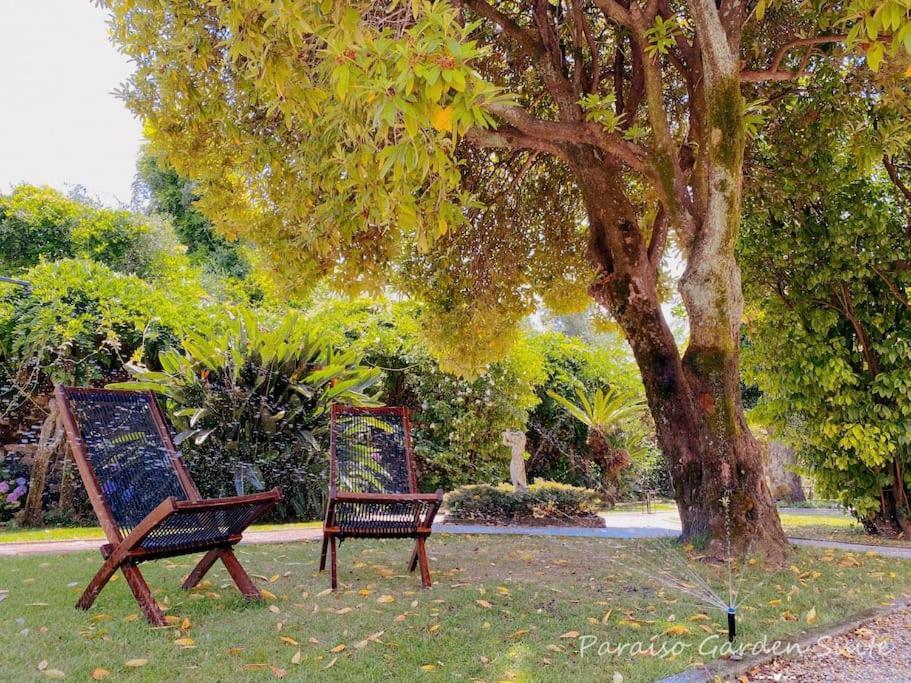 Paraiso Garden Suite--- Spacious & Downtown 波尔图 外观 照片